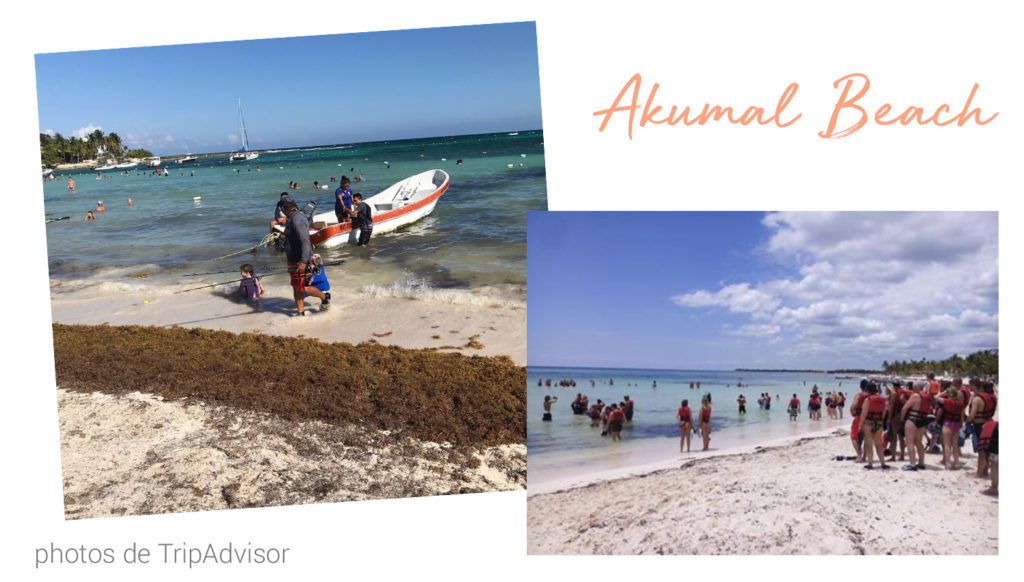 akumal beach mexique