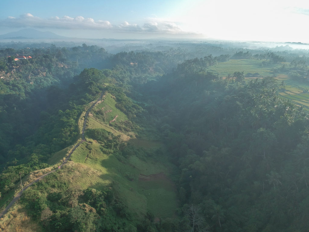 ubud what to do