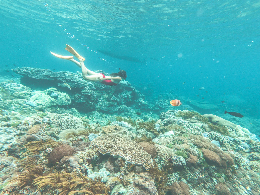 snorkelling Nusa Penida