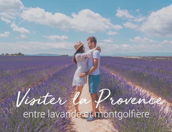 lavande en Provence