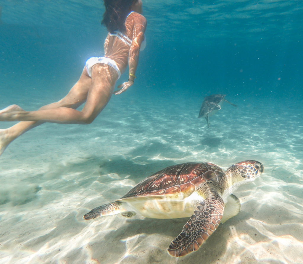 voyage martinique