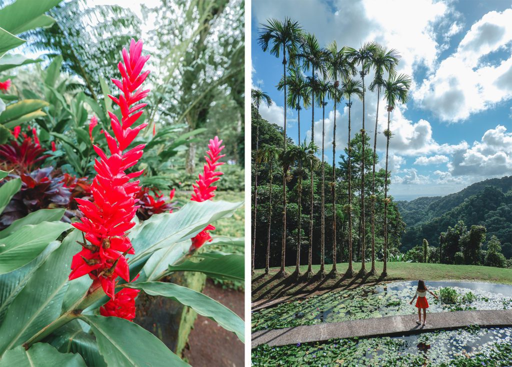 jardin de balata martinique