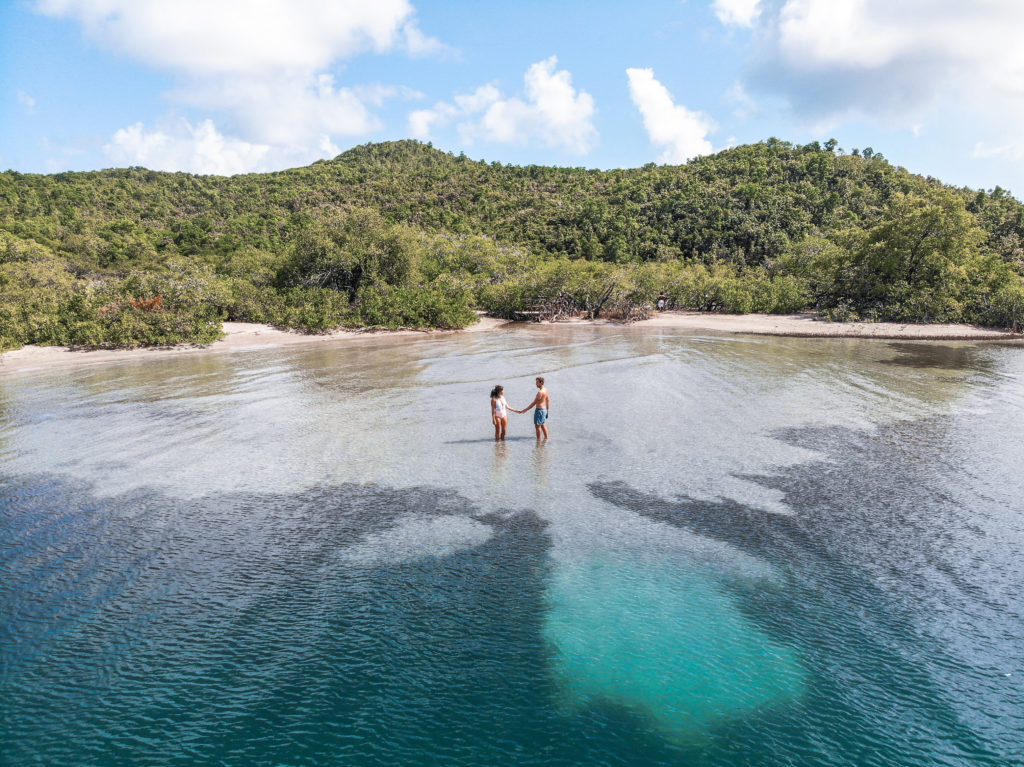 presqu'ile de la caravelle martinique