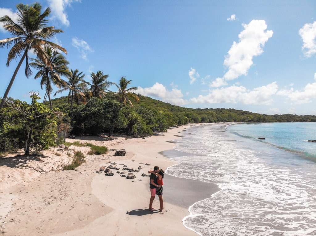 anse Martinique mosquito