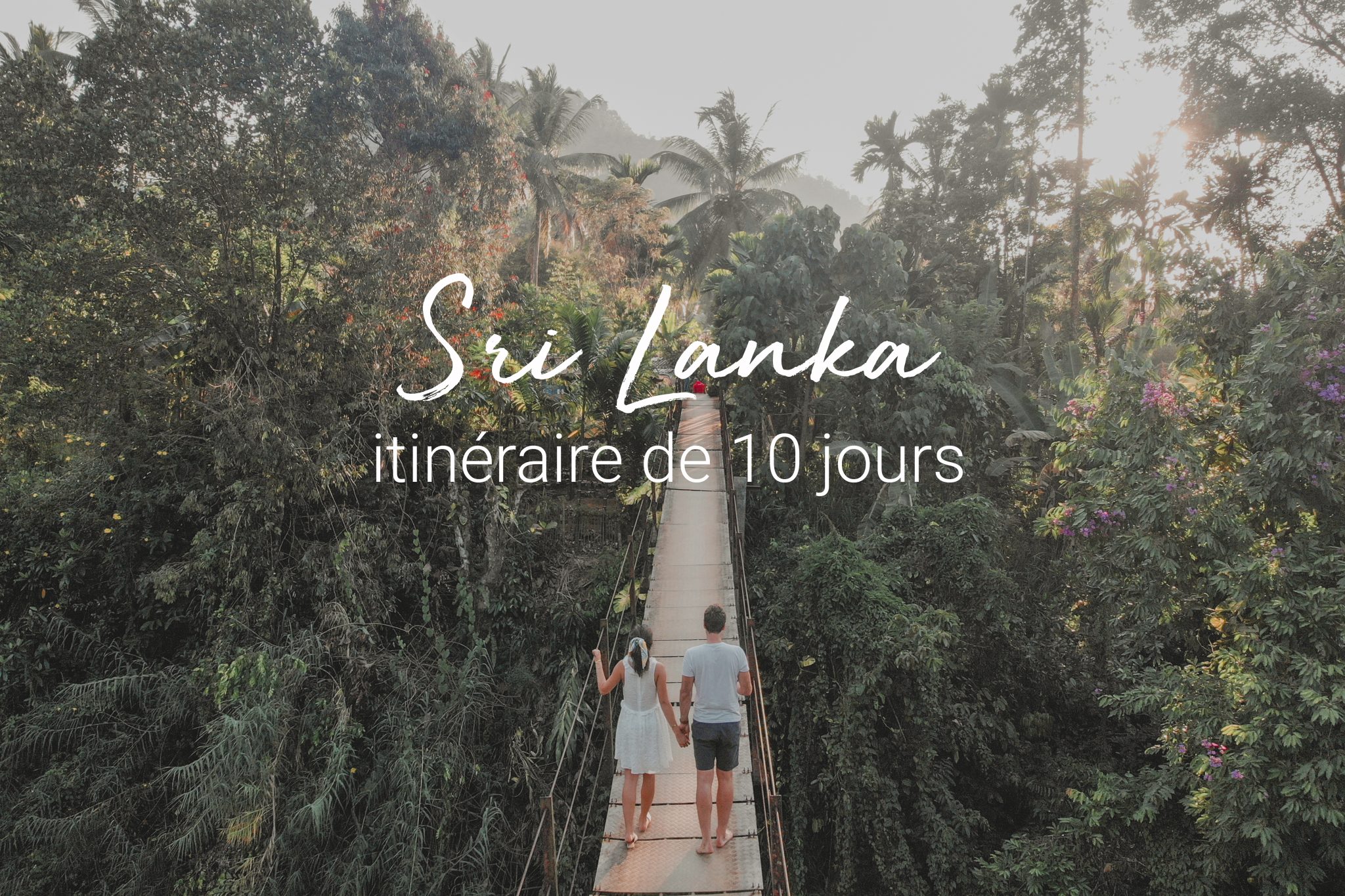 Itinéraire De 10 Jours Au Sri Lanka Les Incontournables