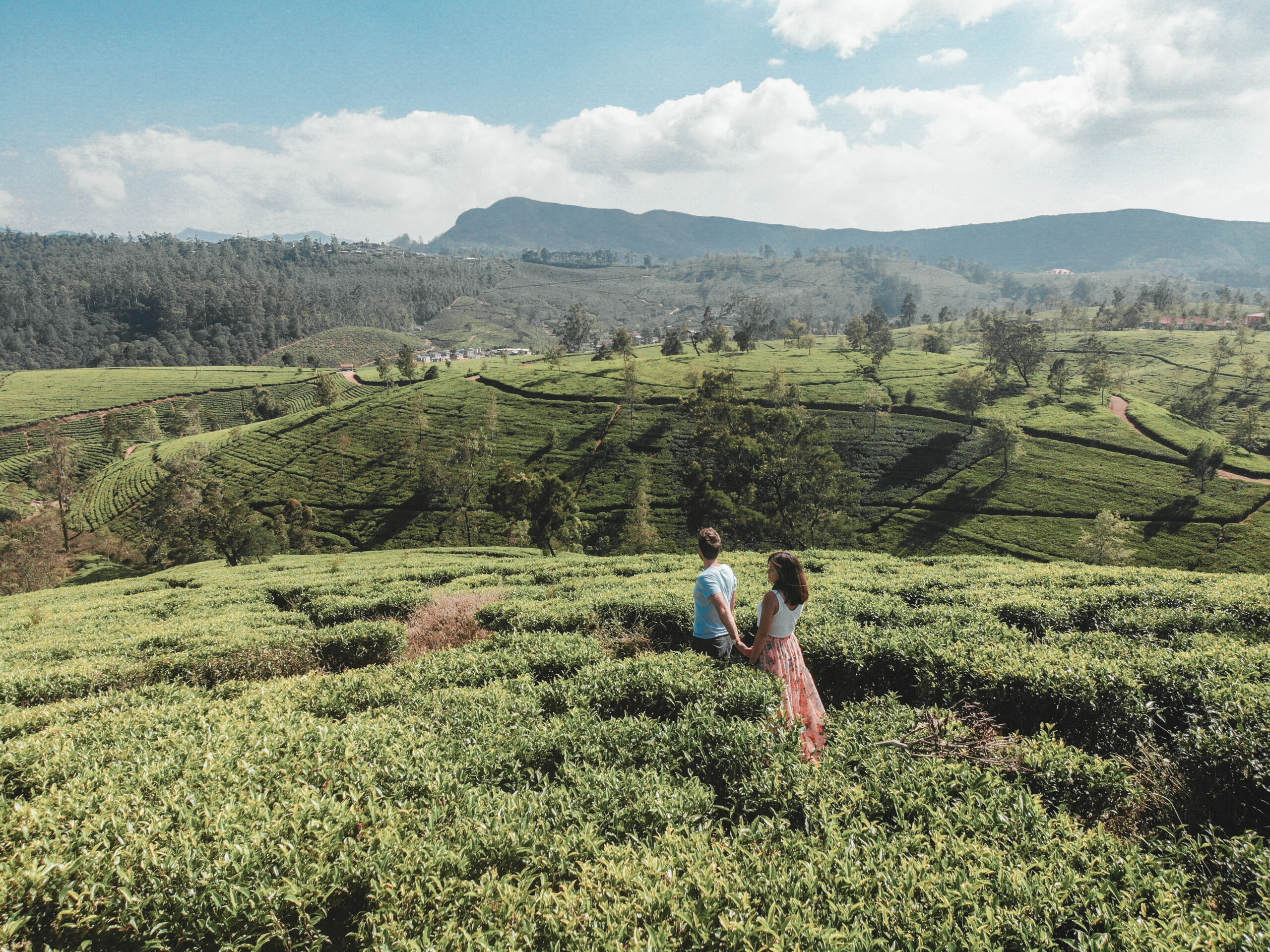 Plantaciones de té de Sri Lanka