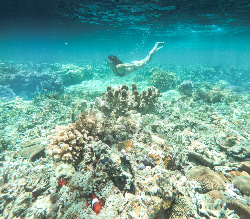 snorkelling coron