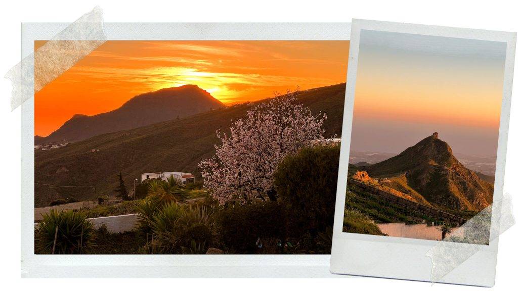 dónde alojarse en tenerife