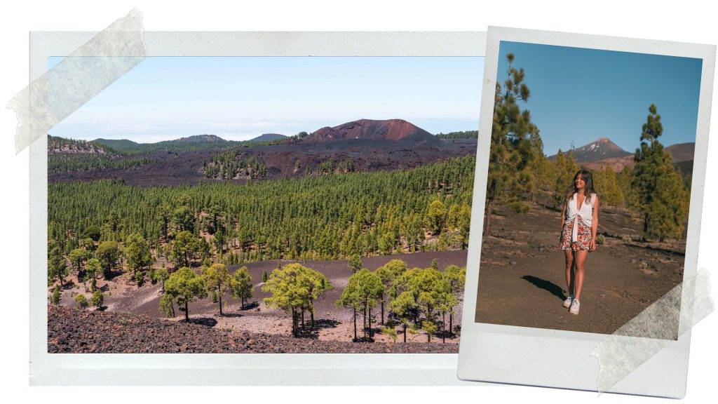 hike Samara park teide