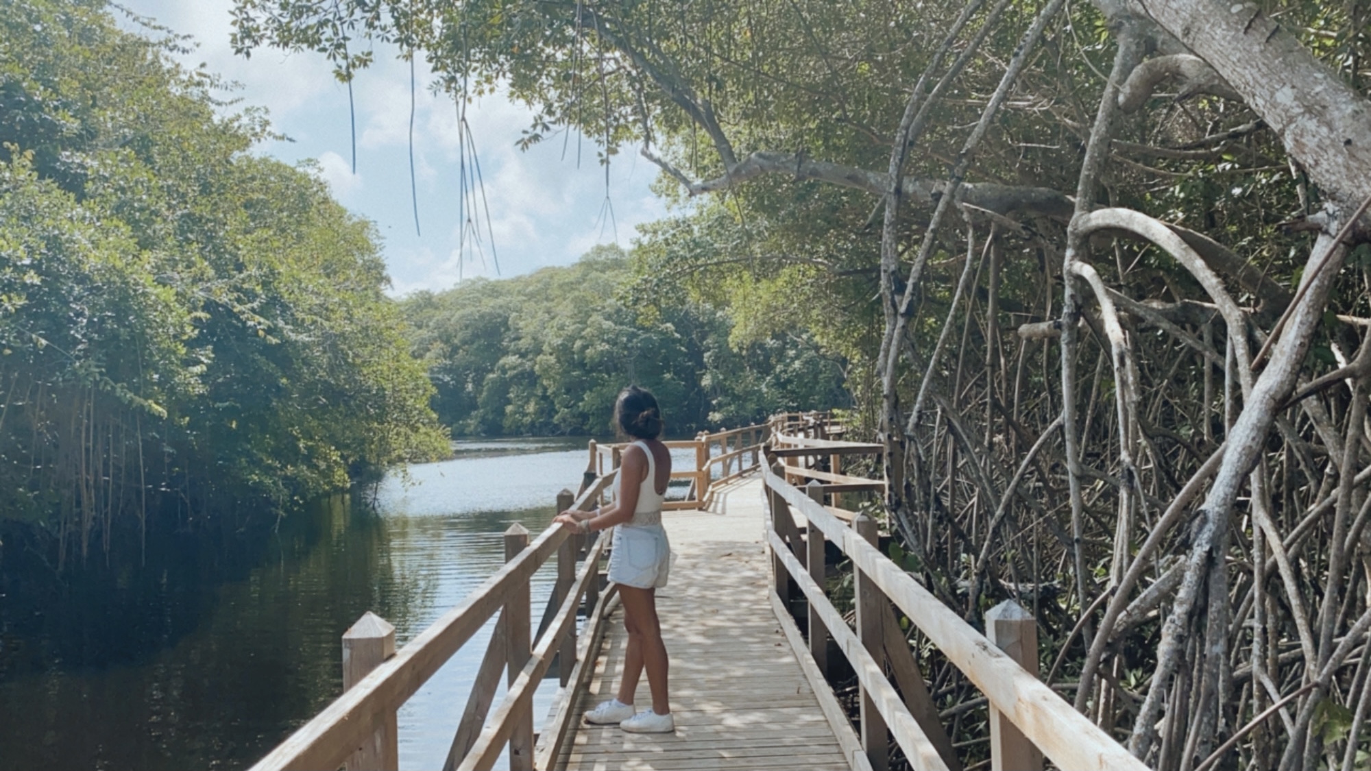 manglar marie galante