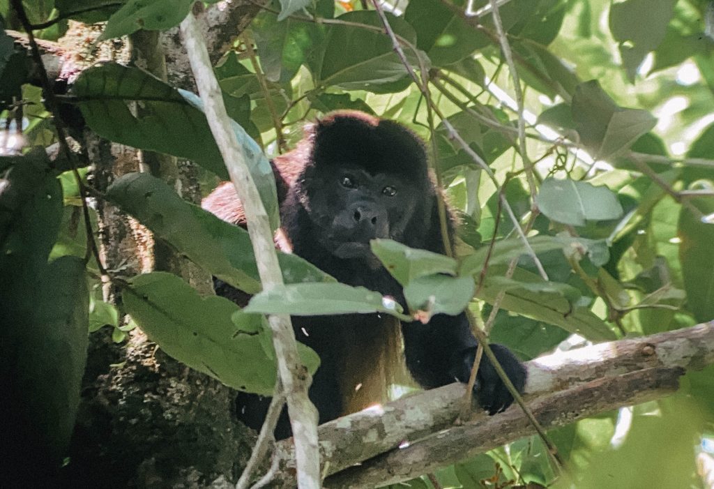 visiter Manuel Antonio