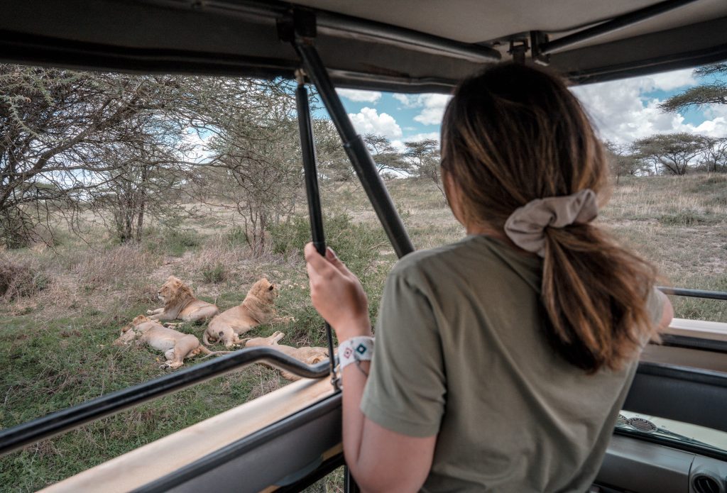 quels animaux voir en safari en tanzanie