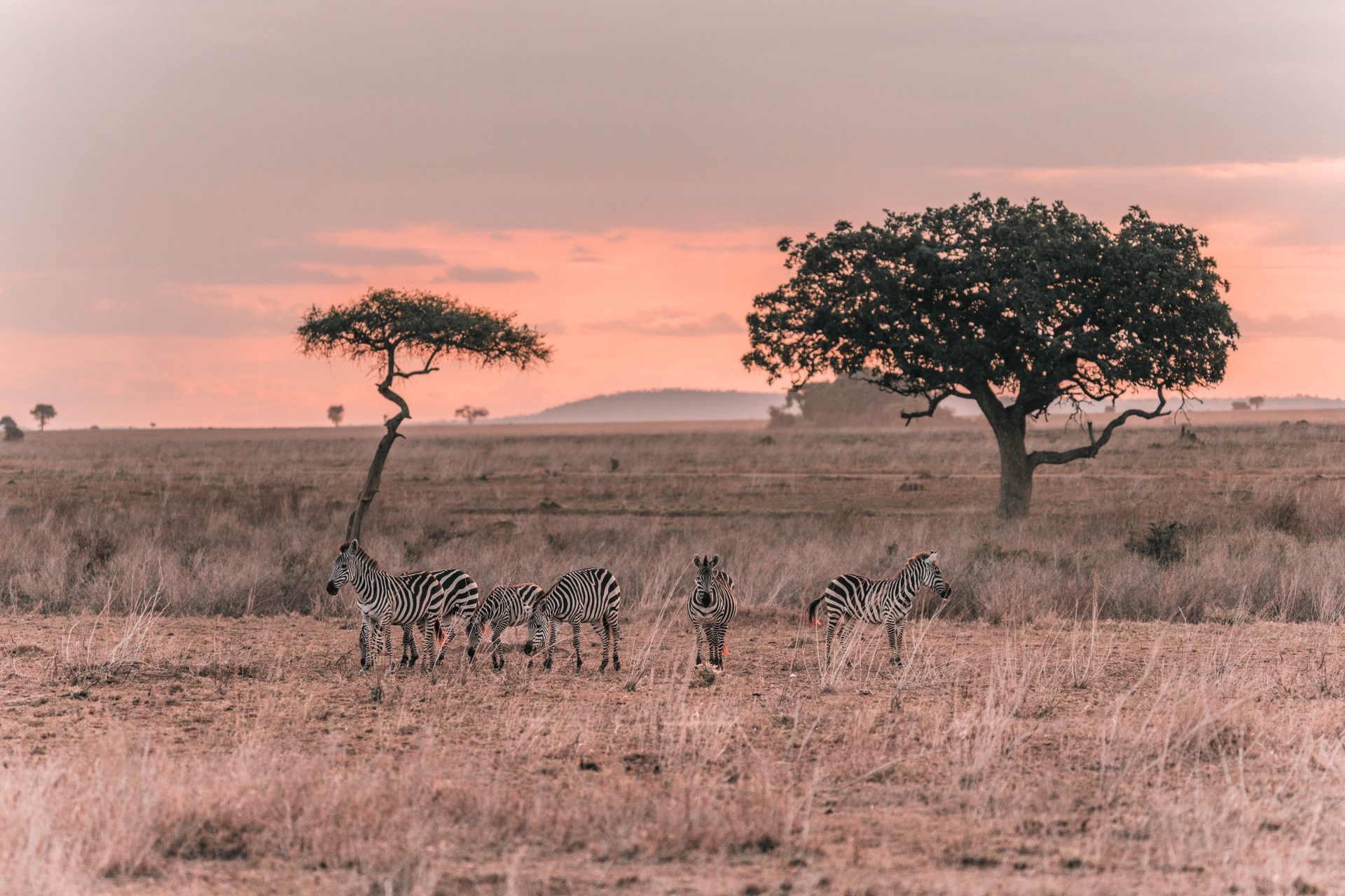 voyage 2 semaines en tanzanie