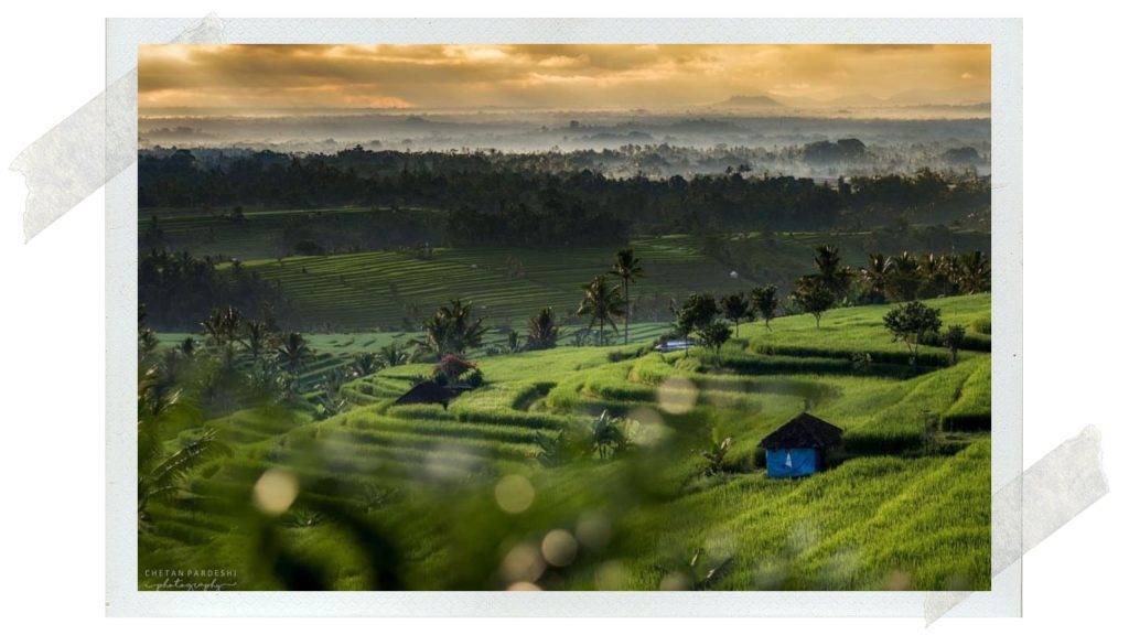 auténtico viaje a bali