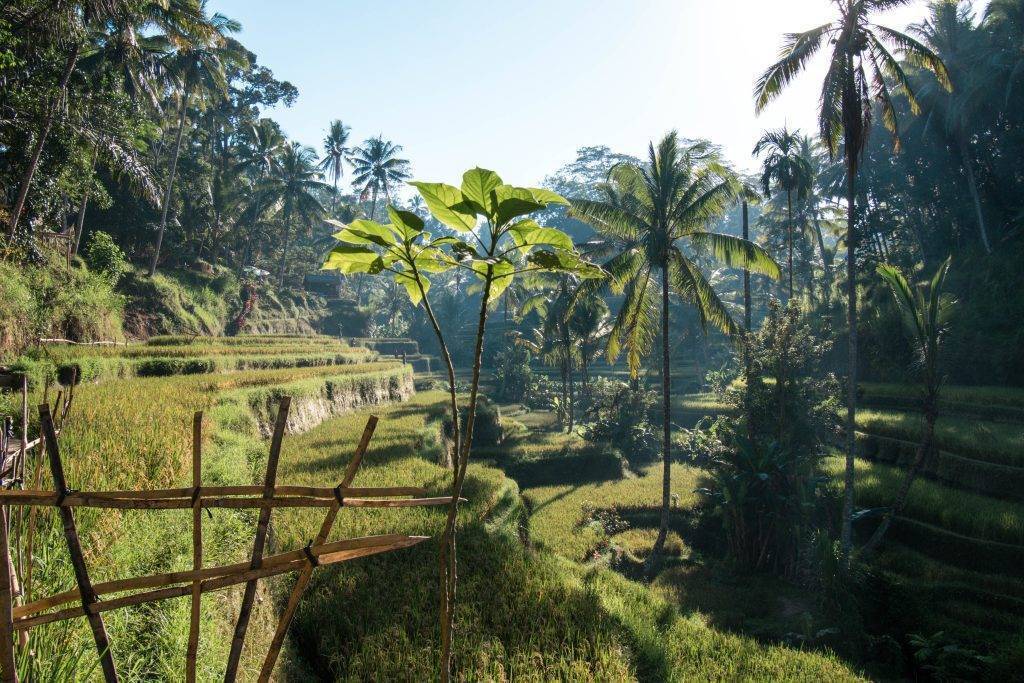 itinerary what to do to bali