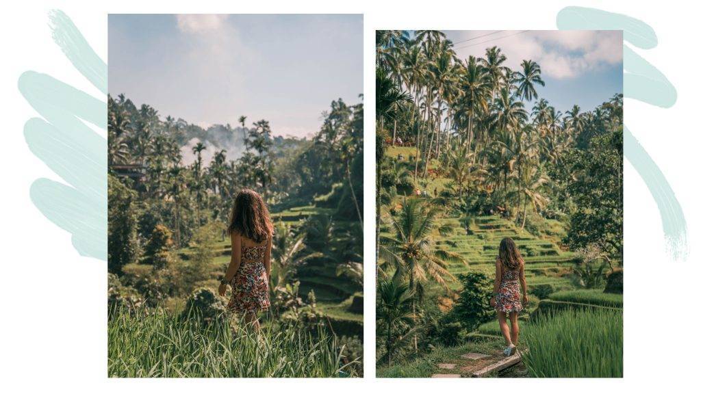 what to do to Bali during 3 weeks