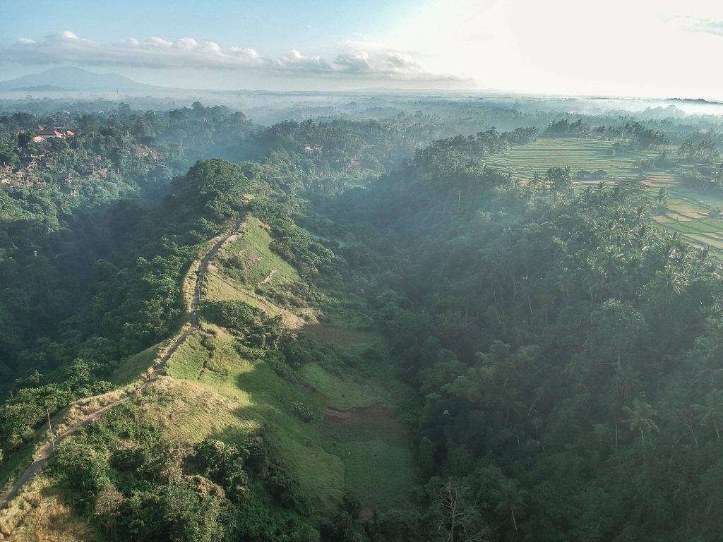 choses à faire à ubud