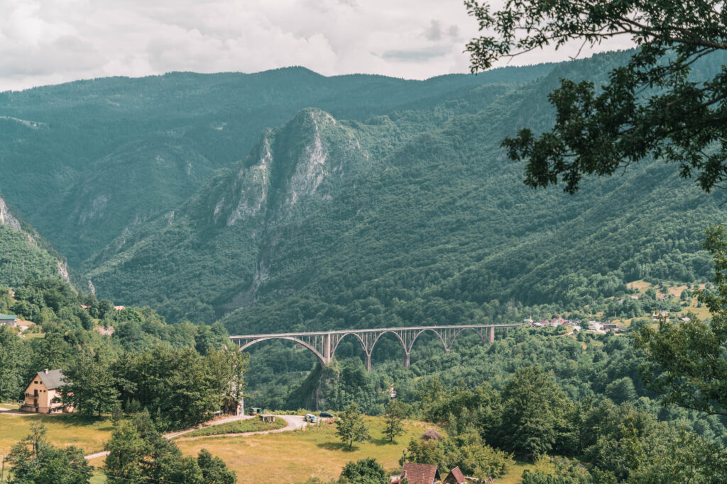 tara bridge montenegro