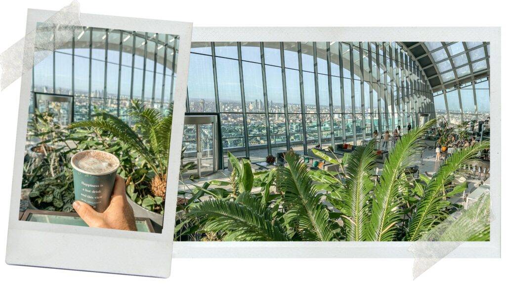 Sky Garden rooftop