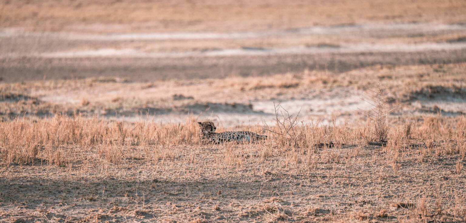 11 Jours De Road Trip En Namibie : Itinéraire - Blog Voyage - Amoureux ...