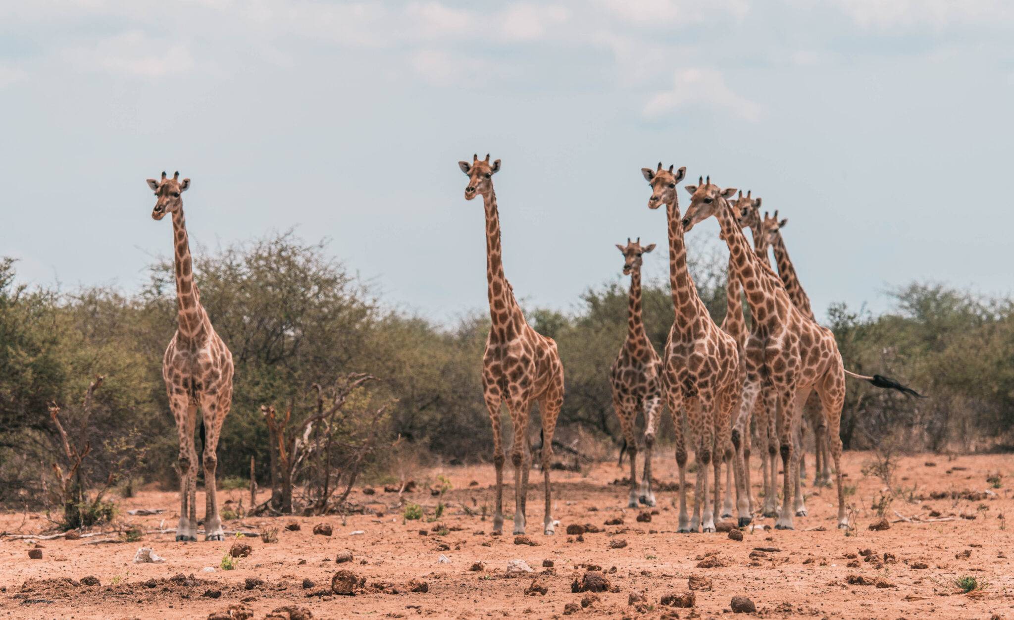 11 Jours De Road Trip En Namibie : Itinéraire - Blog Voyage - Amoureux ...