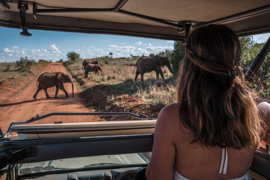 voyage safari en afrique