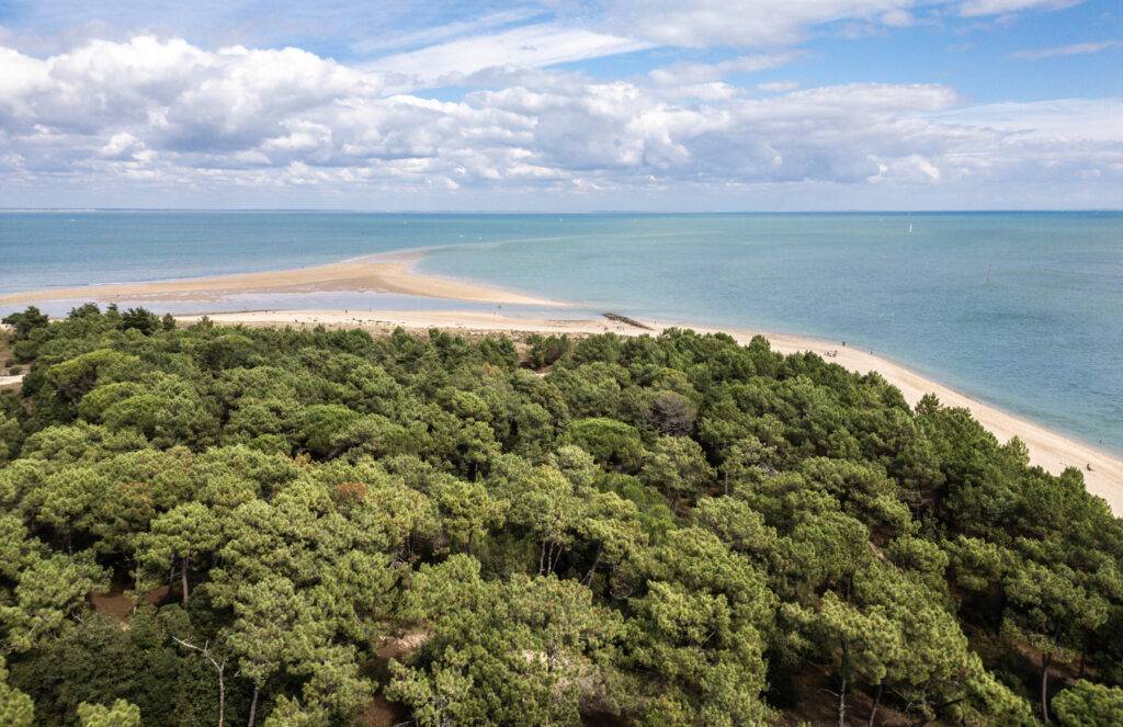 Beautiful beach island of Ré