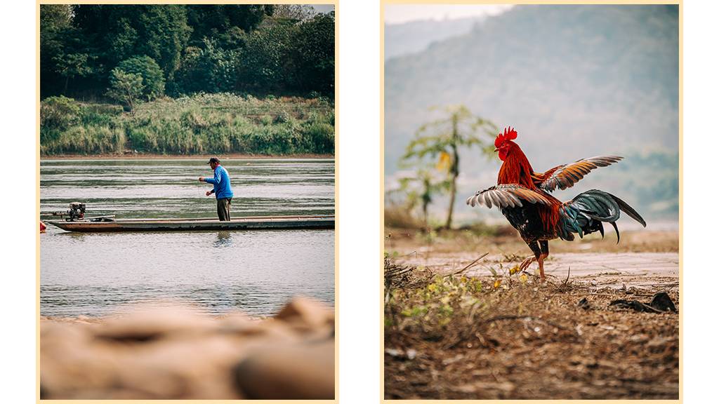 chiang khan thailande