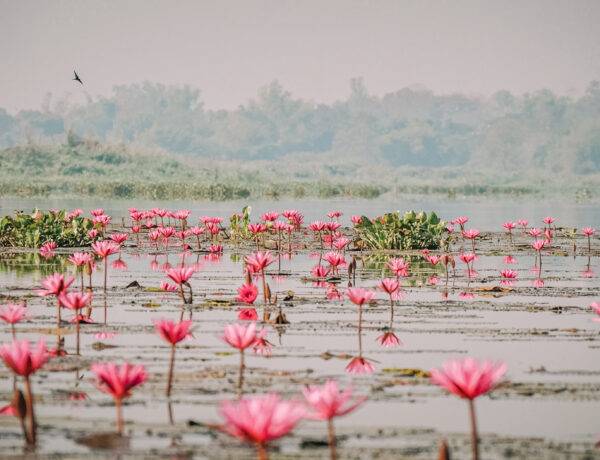Que faire dans le nord de la thailande